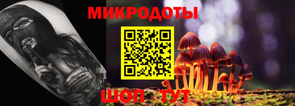 Касимов  Галлюциногенные грибы прущие грибы  Галлюциногенные грибы прущие грибы  Вход с VPN 